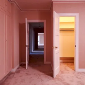 Visitor album cover