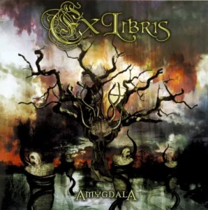Amygdala album cover