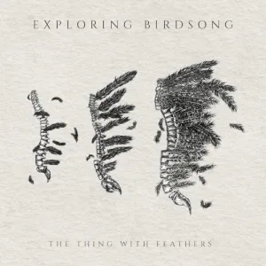 The Thing With Feathers album cover