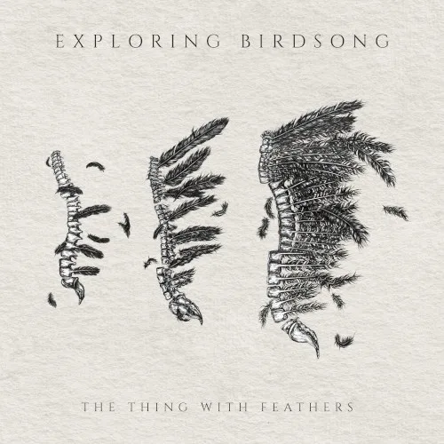 The Thing With Feathers background