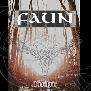 Licht album cover