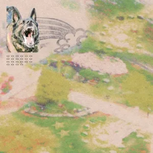 Girl With Fish album cover