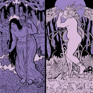 Awenden / Feminazgul album cover