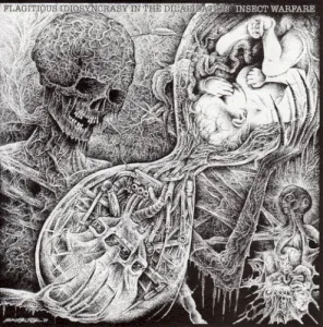 Flagitious Idiosyncrasy in the Dilapidation / Insect Warfare album cover