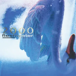 2000: In Search of the Endless Sky album cover