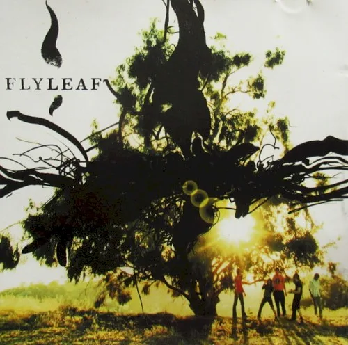 Flyleaf background