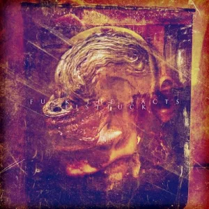 Fuck the Facts / Fistfuck album cover