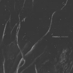 Wounds album cover