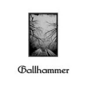 Gallhammer album cover