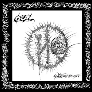 Only Constant album cover
