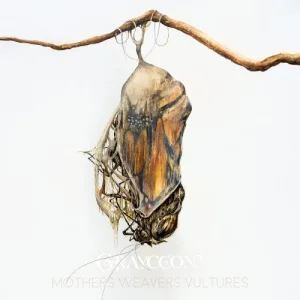 Mothers Weavers Vulture album cover