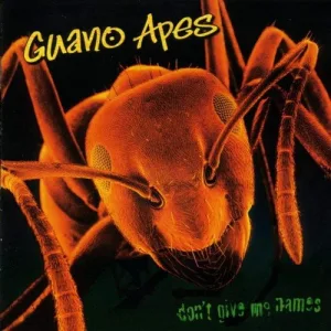 Don’t Give Me Names album cover