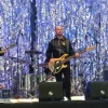 Guano Apes