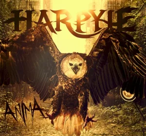 Anima album cover