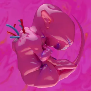ekkolaptómenos album cover
