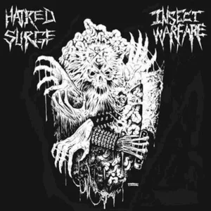Hatred Surge / Insect Warfare album cover
