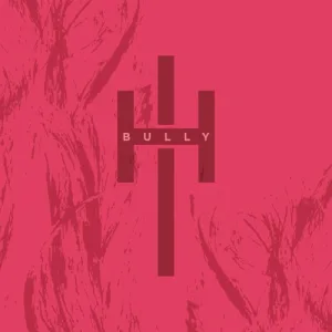 Bully album cover