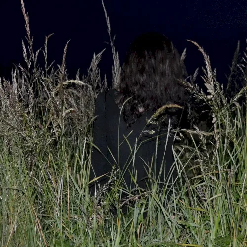 Night background