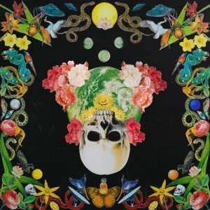 Helichrysum album cover