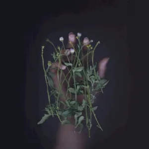 3-way split album cover