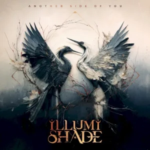 Another Side of You album cover