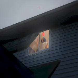 Crave album cover