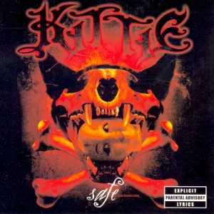 Safe album cover