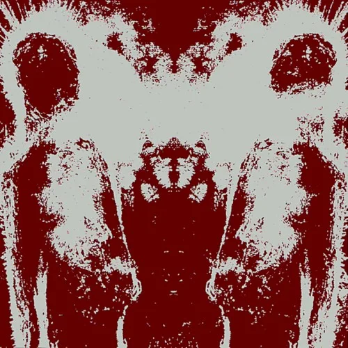 Cream Abdul Babar / Kylesa background