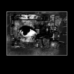 Limited Tour CD album cover