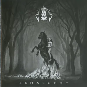 Sehnsucht album cover