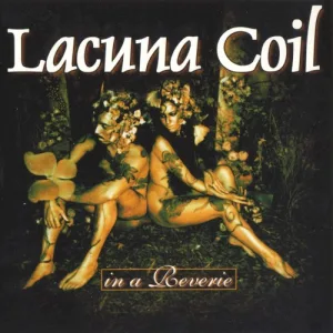In a Reverie album cover