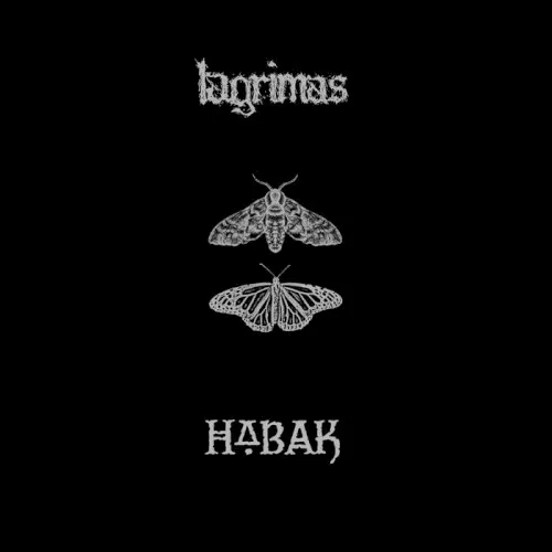 LAGRIMAS // HABAK background