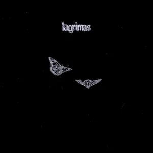 its hard for me to accept this album cover
