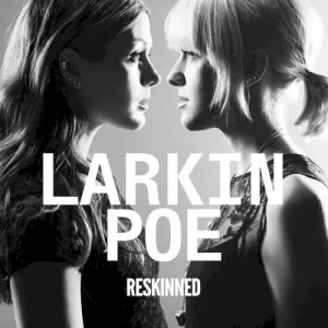 Reskinned album cover
