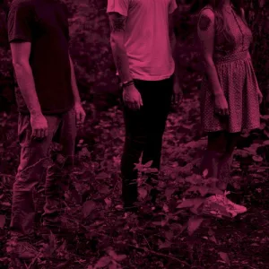 Companion album cover