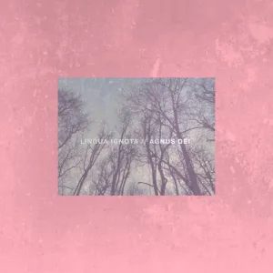 AGNUS DEI album cover