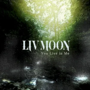 You Live in Me album cover