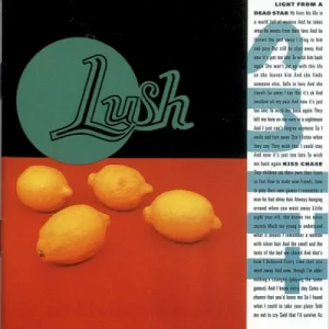 Split album cover