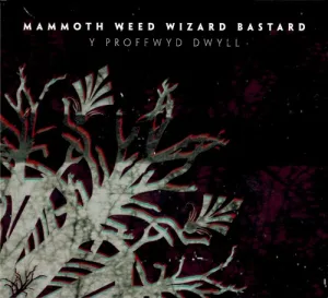 Y Proffwyd Dwyll album cover