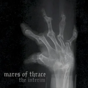 The Interim album cover