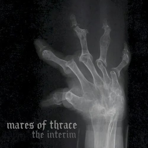 The Interim background