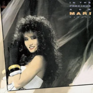 IN THE PRECIOUS AGE album cover