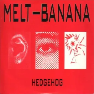 Hedgehog album cover