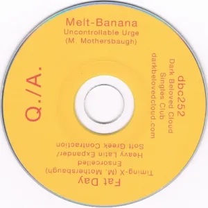 Q./A. album cover