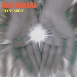 Teeny Shiny album cover