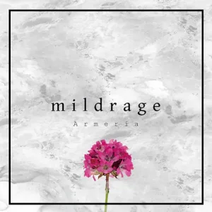 Armeria album cover