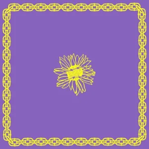 Go Away album cover
