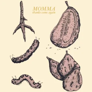 thanks come again album cover