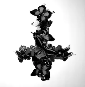 Never Forever album cover