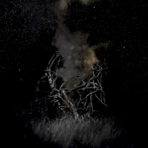 Hope album cover